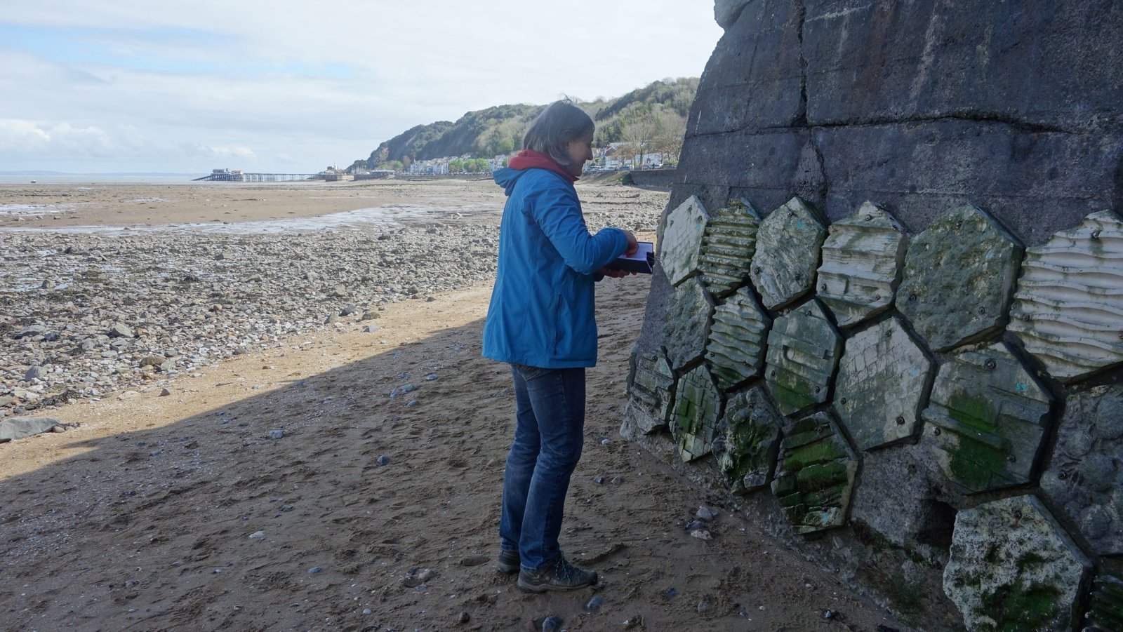 Mumbles Sea Hive