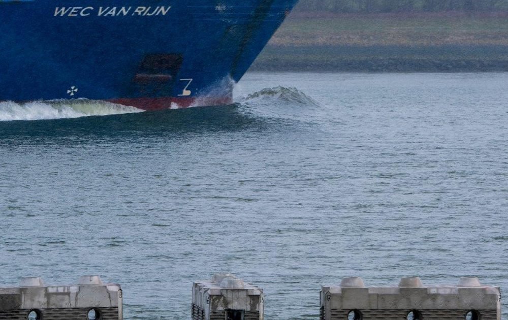 Rotterdam Reef Installed for Nature and Shoreline Protection